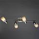 В наличии, Производитель:Arte Lamp, Тип: Накладные споты, Артикул: A4510PL-4SS Доставка по РФ, актуальные цены и остатки, интернет-магазин Торгостров
