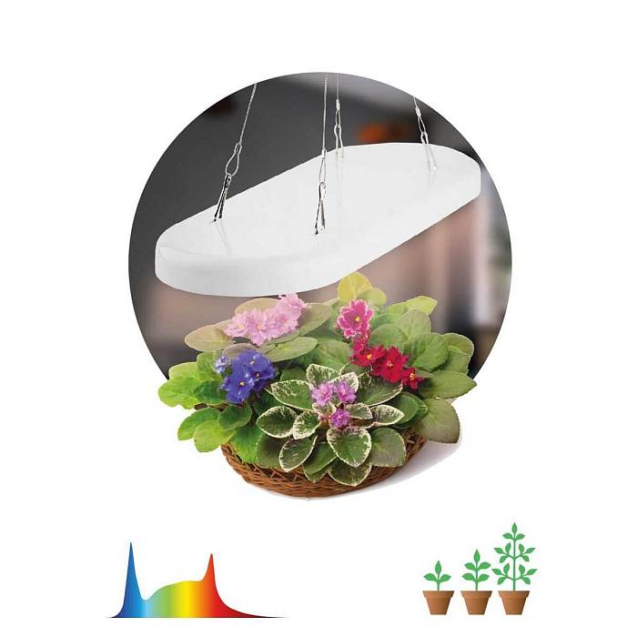 Купить Светодиодный подвесной светильник для растений ЭРА Fito-25W-Qled-Fly Б0053062 за 3 424 ₽ в наличии с доставкой по России. Интернет-магазин каталог товаров