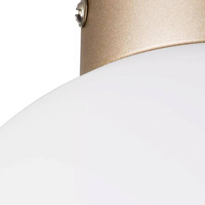 Настенно-потолочный светильник Lightstar Globo 812023 за 7 541 ₽ в наличии с доставкой по России. Настенно-потолочные светильники. Интернет-магазин каталог товаров актуальные цены и остатки