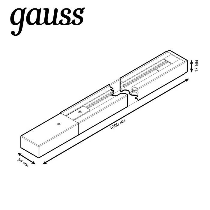 Шинопровод однофазный Gauss TR101 за 559 ₽ в наличии с доставкой по России. Шинопроводы для трековых систем. Интернет-магазин каталог товаров актуальные цены и остатки