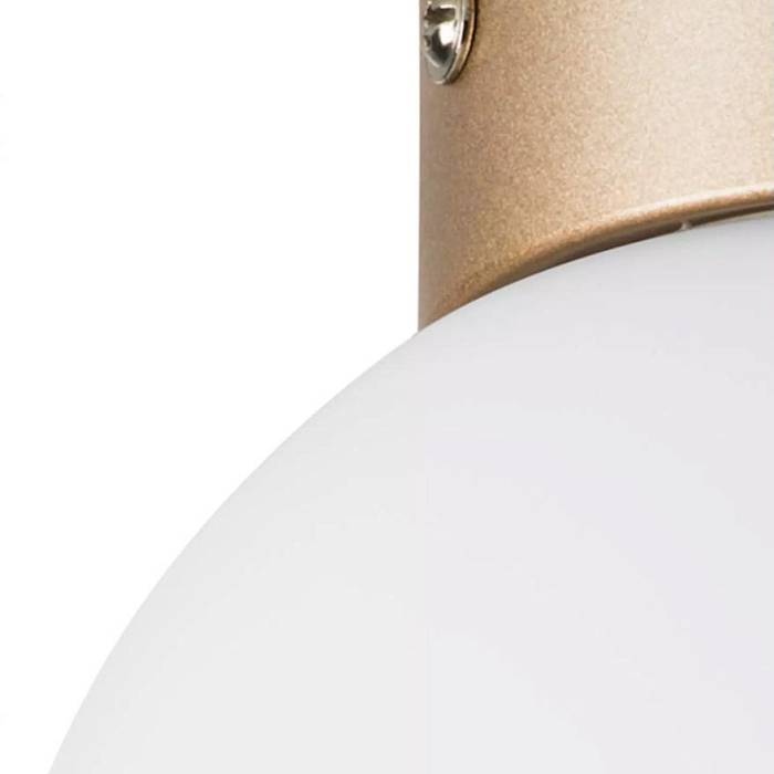 Настенно-потолочный светильник Lightstar Globo 812013 за 5 201 ₽ в наличии с доставкой по России. Настенно-потолочные светильники. Интернет-магазин каталог товаров актуальные цены и остатки