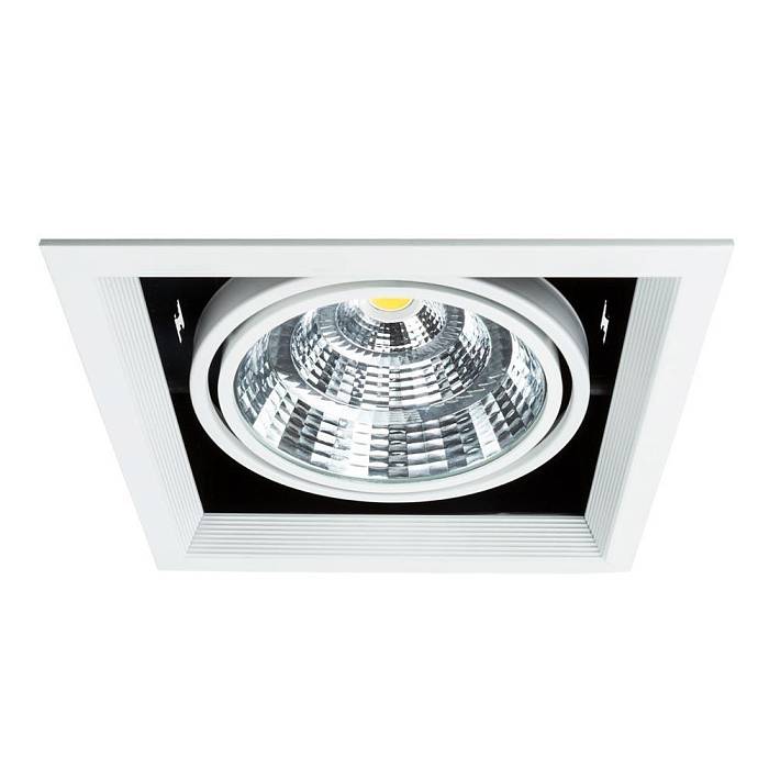 Встраиваемый светодиодный светильник Arte Lamp Merga A8450PL-1WH за 3 160 ₽ в наличии с доставкой по России. Карданные светильники. Интернет-магазин каталог товаров актуальные цены и остатки