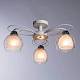 В наличии, Производитель:Arte Lamp, Тип: Потолочные, Артикул: A7585PL-3WH Доставка по РФ, актуальные цены и остатки, интернет-магазин Торгостров