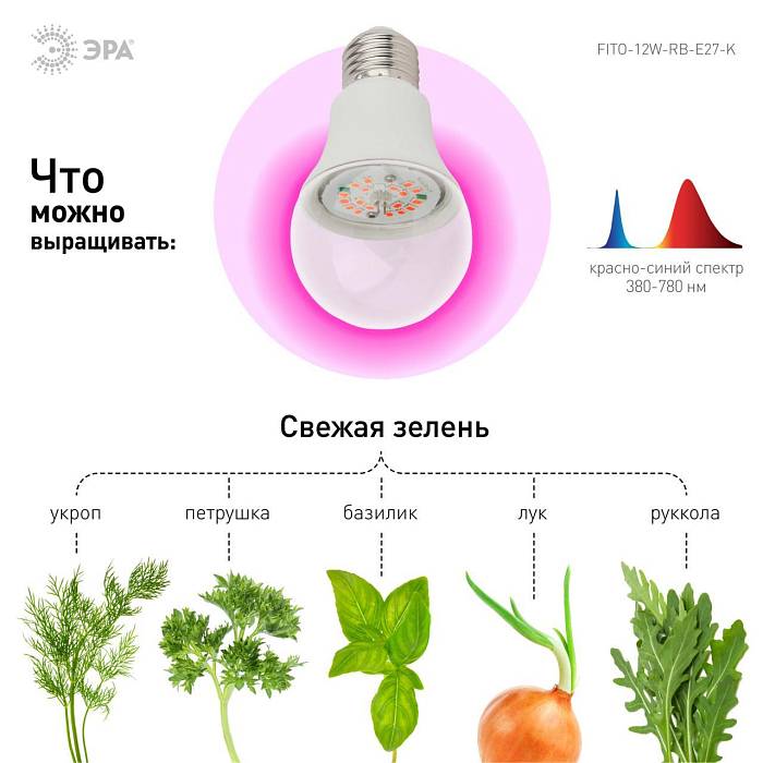 Купить Лампа светодиодная для растений ЭРА E27 12W 1310K прозрачная FITO-12W-RB-E27-K Б0039070 за 489 ₽ в наличии с доставкой по России. Интернет-магазин каталог товаров