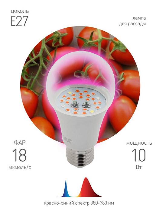 Купить Лампа светодиодная для растений ЭРА E27 10W 1310K прозрачная Fito-10W-RB-E27 Б0050600 за 387 ₽ в наличии с доставкой по России. Интернет-магазин каталог товаров