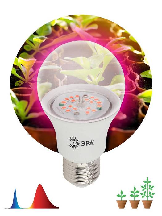 Купить Лампа светодиодная для растений ЭРА E27 12W 1310K прозрачная FITO-12W-RB-E27-K Б0039070 за 489 ₽ в наличии с доставкой по России. Интернет-магазин каталог товаров